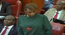 File image of Nominated Senator Karen Nyamu.